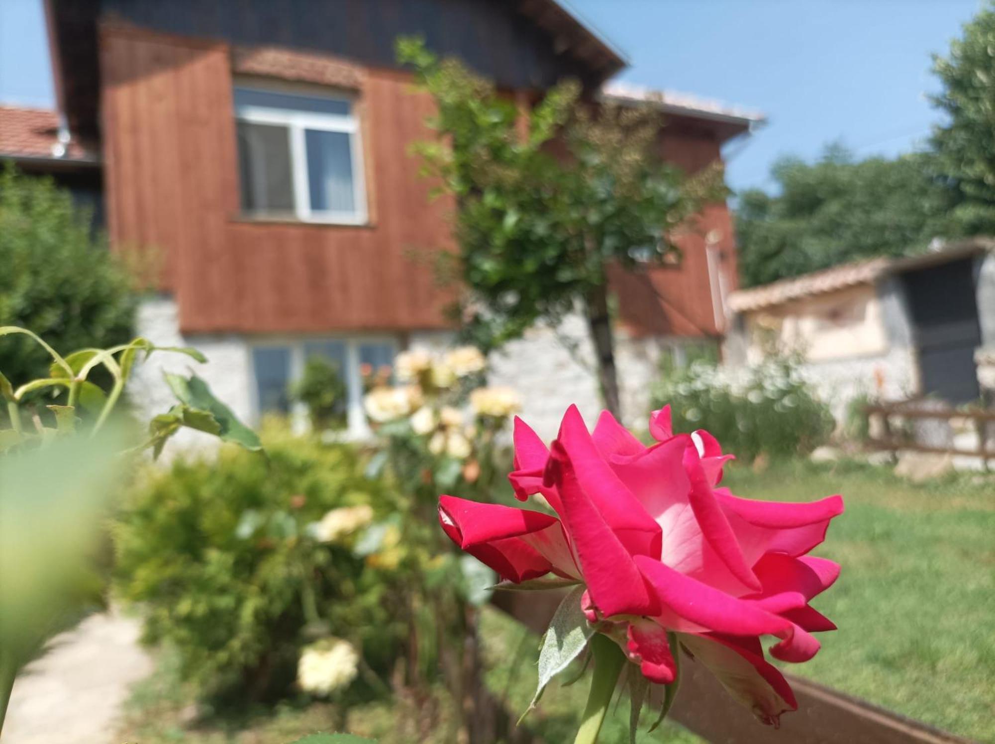 Villa Nina In Kramolin المظهر الخارجي الصورة