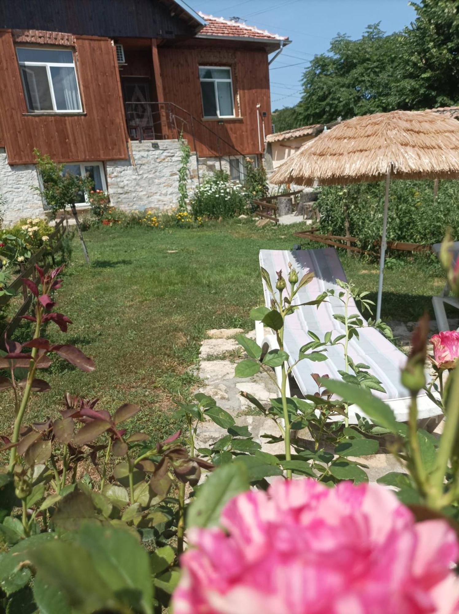 Villa Nina In Kramolin المظهر الخارجي الصورة